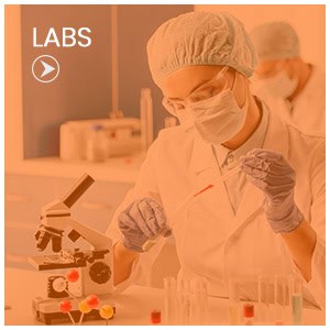 Lab Services at Centra Internal Medicine in Sun City, AZ, Phoenix, AZ, Prescott, AZ, and Buckeye, AZ, Lab Services at Centra Internal Medicine in Sun City, AZ, Phoenix, AZ, Prescott, AZ, and Buckeye, AZ,